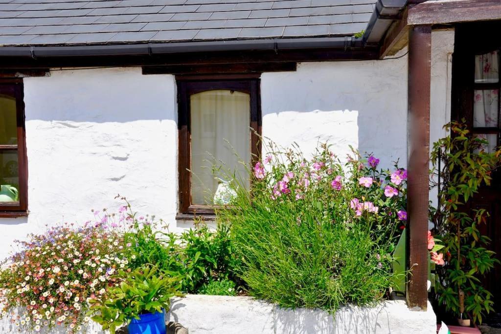 Stunning Annexe 1 Luxury Bedroom, Eating Area & Bathroom Only! Truro Exteriér fotografie