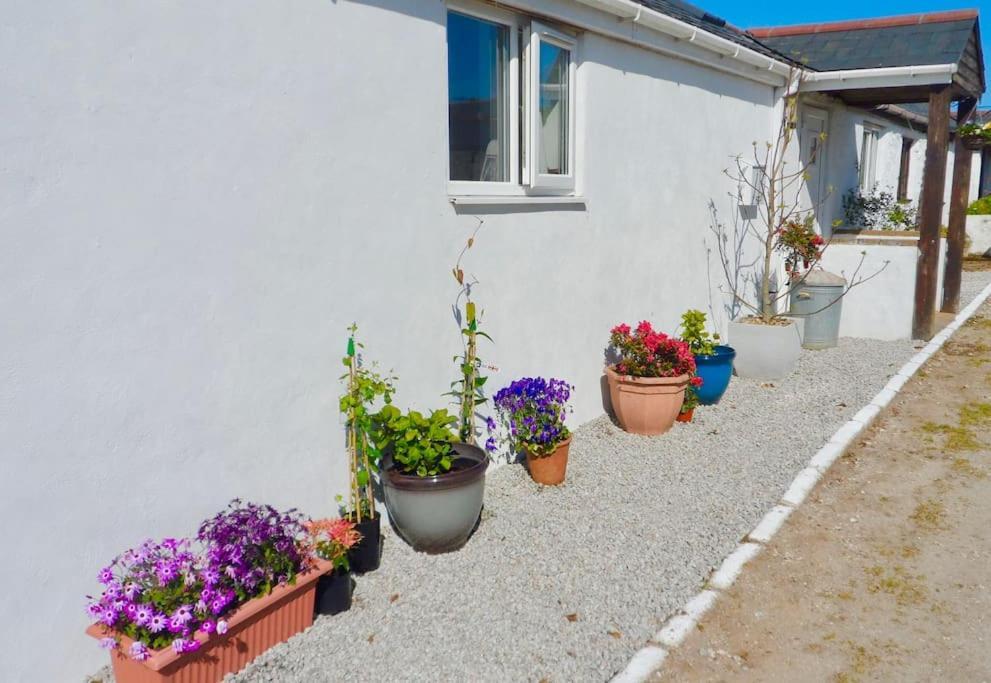 Stunning Annexe 1 Luxury Bedroom, Eating Area & Bathroom Only! Truro Exteriér fotografie